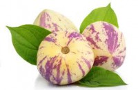 Pepino
